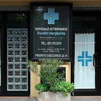 Ospedale veterinario nel 2017