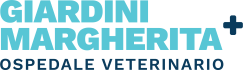 Pronto soccorso veterinario a Bologna Ospedale Veterinario Giardini Margherita Bologna